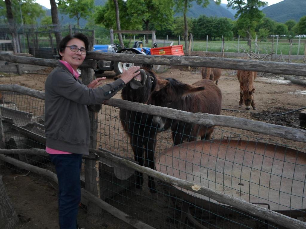 Azienda Agrituristica Pericle Country house *