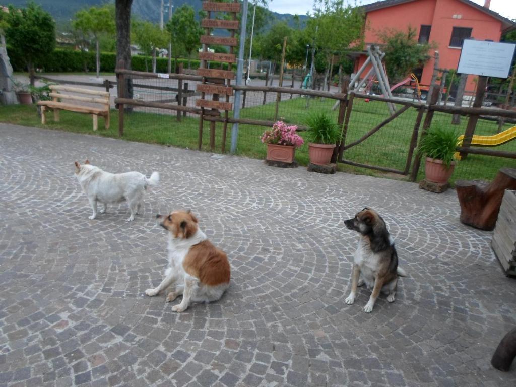 Country house Azienda Agrituristica Pericle *