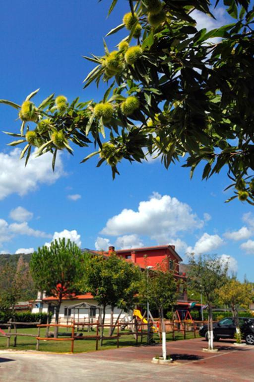 Country house Azienda Agrituristica Pericle *