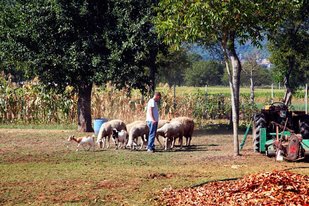 Azienda Agrituristica Pericle Casa di campagna