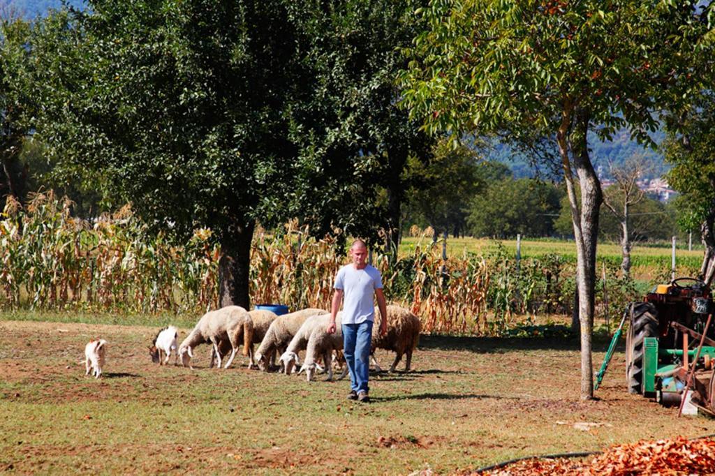 Country house Azienda Agrituristica Pericle Montella